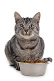 Wet Cat Food - Virtual Gift 🎁